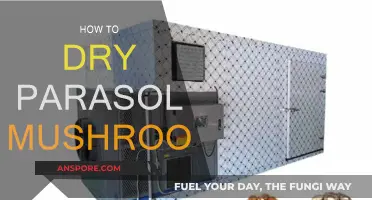 Drying Parasol Mushrooms: A Step-by-Step Guide