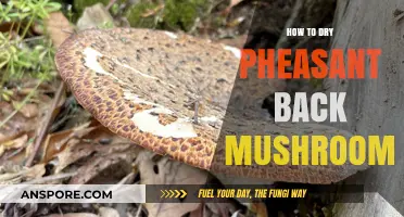 Mastering the Art of Drying Pheasant Back Mushrooms at Home