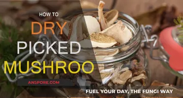 Drying Picked Mushrooms: A Step-by-Step Guide