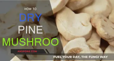 Drying Pine Mushrooms: The Ultimate Guide
