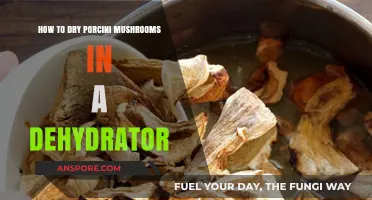 Dehydrating Porcini Mushrooms: A Simple Guide for Perfect Results