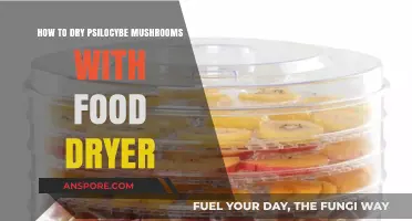 Drying Psilocybe Mushrooms: A Food Dryer Guide for Preservation