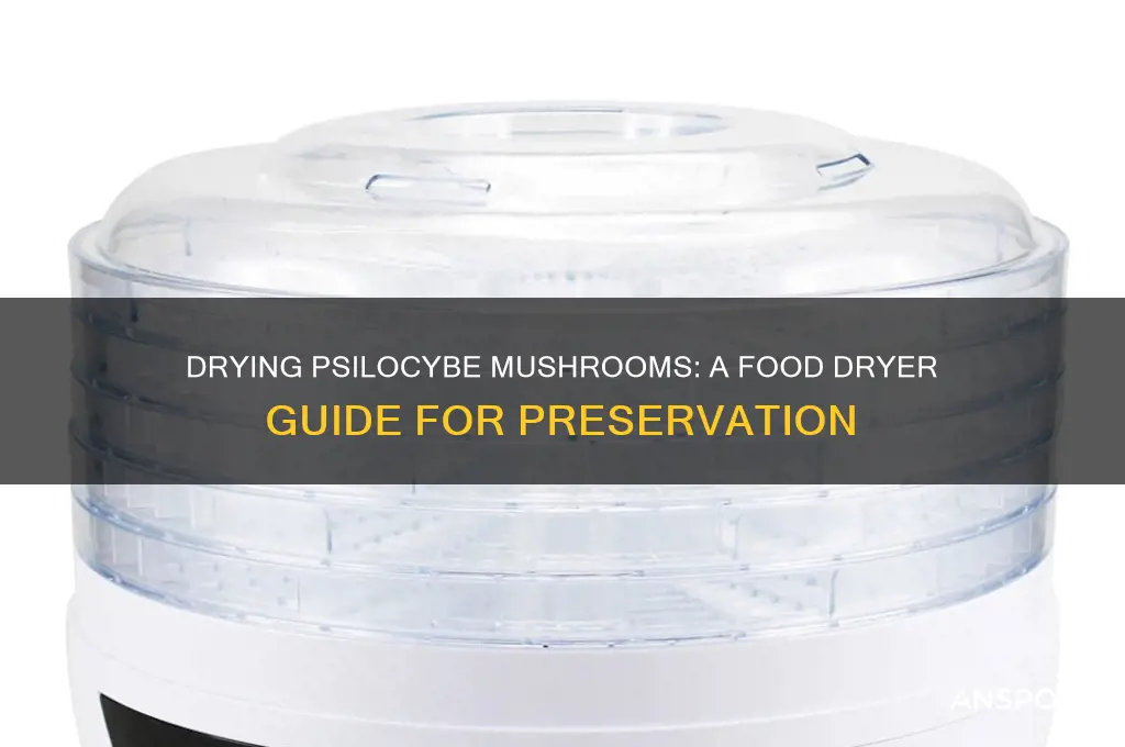 how to dry psilocybe mushrooms with food dryer