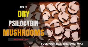 Drying Psilocybin Mushrooms: Best Techniques and Practices