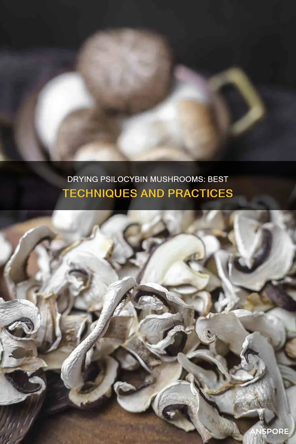 how to dry psilocybin mushrooms