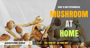 Drying Psychedelic Mushrooms: A Simple Home Preservation Guide