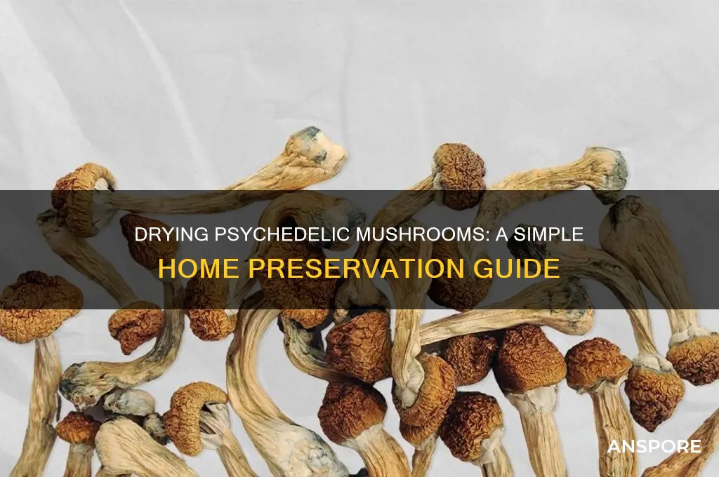 how to dry psychedelic mushrooms at home