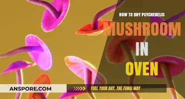 Oven-Drying Psychedelic Mushrooms: A Step-by-Step Preservation Guide