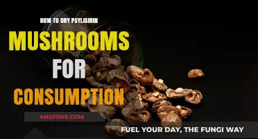 Drying Psilocybin Mushrooms: A Comprehensive Guide for Safe Consumption