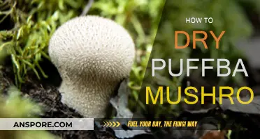 Drying Puffball Mushrooms: Best Methods and Practices