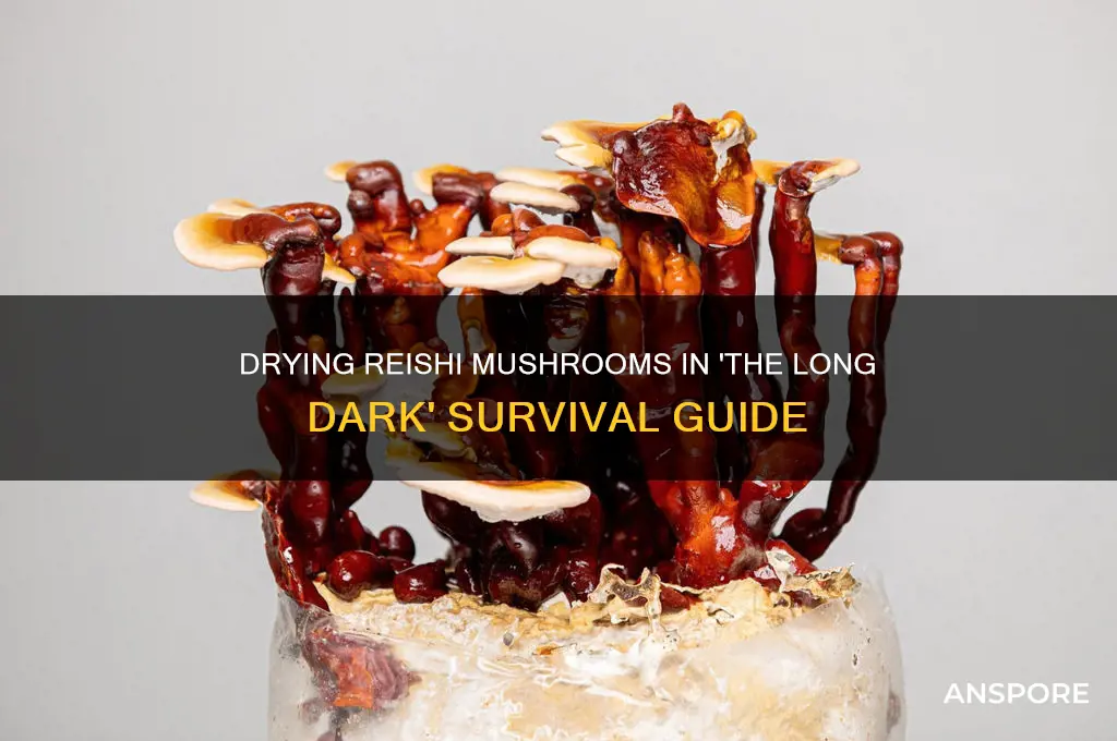 how to dry reishi mushroom the long dark