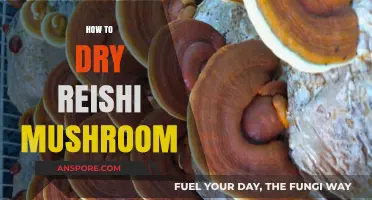 Drying Reishi Mushrooms: Techniques and Best Practices