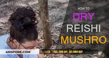 Drying Reishi Mushrooms: A Step-by-Step Guide