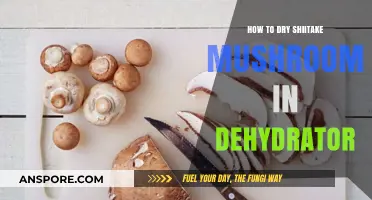 Dehydrating Shiitake Mushrooms: A Simple Guide to Perfect Drying