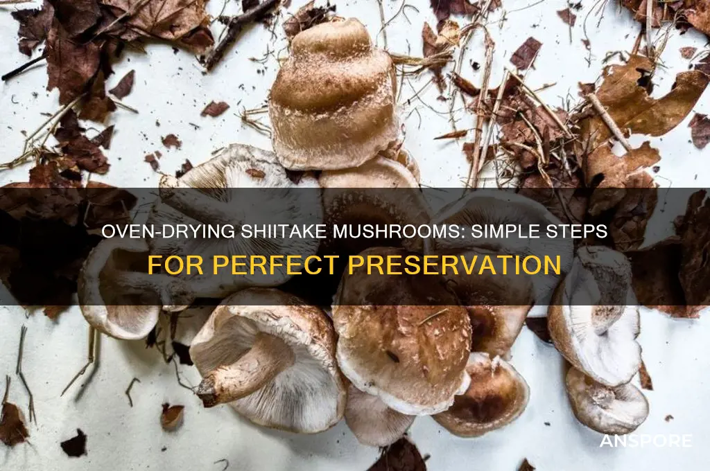 how to dry shiitake mushrooms in oven