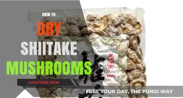 Drying Shiitake Mushrooms: Best Techniques and Practices