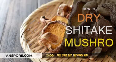 Drying Shiitake Mushrooms: Techniques and Best Practices