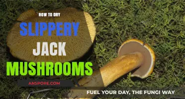 Mastering the Art of Drying Slippery Jack Mushrooms: Tips and Techniques