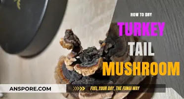 Mastering the Art of Drying Turkey Tail Mushrooms for Optimal Preservation