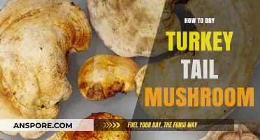 Mastering the Art of Drying Turkey Tail Mushrooms for Optimal Preservation