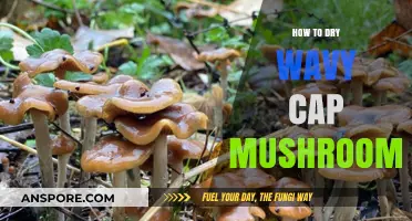Mastering the Art of Drying Wavy Cap Mushrooms: A Step-by-Step Guide