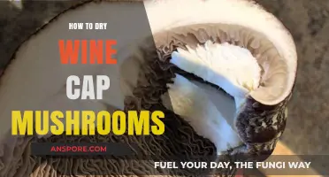 Mastering the Art of Drying Wine Cap Mushrooms: A Step-by-Step Guide