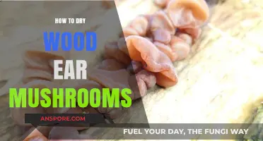 Mastering the Art of Drying Wood Ear Mushrooms: A Simple Guide