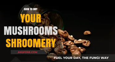 Mastering Mushroom Drying: Shroomery Tips for Perfect Preservation Techniques