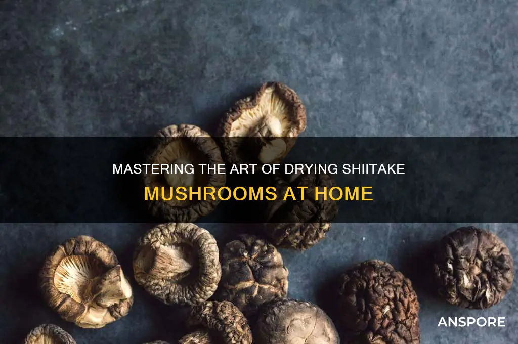 how to dry your own shitake mushroom