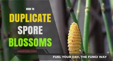 Mastering Spore Blossom Duplication: A Step-by-Step Propagation Guide