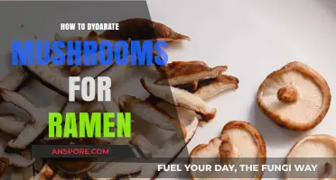 Mastering Dehydrated Mushrooms: Elevate Your Ramen with Umami Flavor