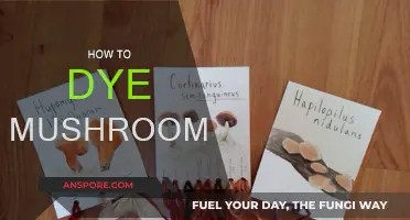 Transforming Mushrooms: Dyeing Techniques and Tips