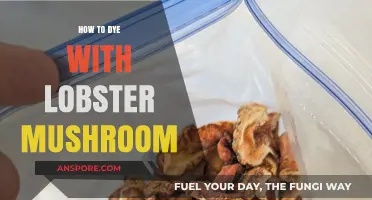 Dyeing with Lobster Mushrooms: A Natural Color Guide