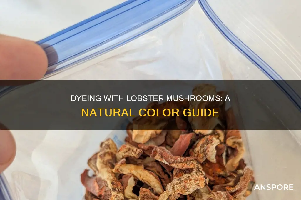 how to dye with lobster mushroom