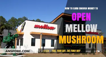 Earning Enough to Launch Your Mellow Mushroom Franchise: A Practical Guide