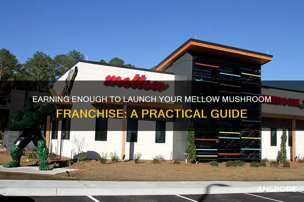 how to earn enough money to open mellow mushroom