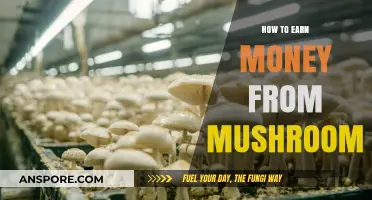 Profitable Mushroom Farming: Creative Ways to Earn Money from Fungi