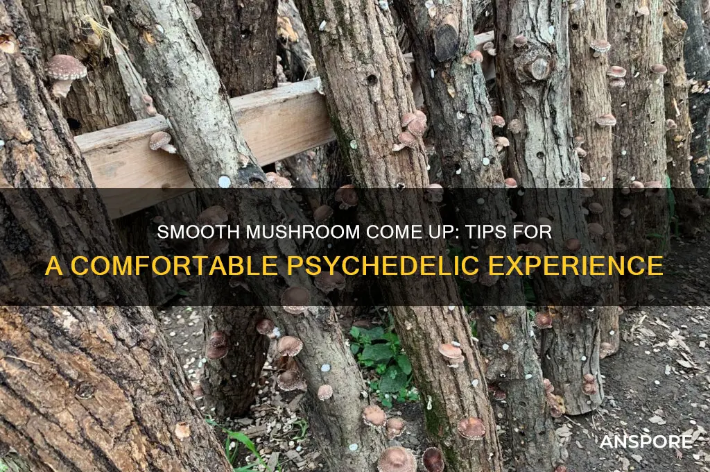 how to ease mushroom come up