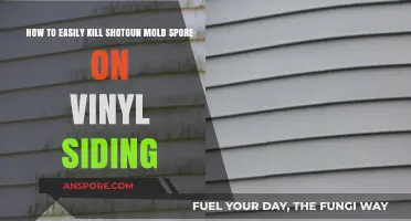 Effective Methods to Eliminate Shotgun Mold Spores on Vinyl Siding