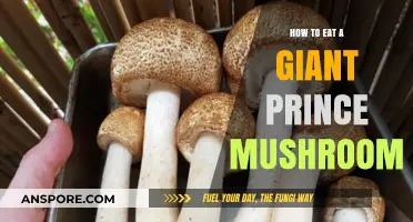 Mastering the Art of Eating a Giant Prince Mushroom: A Guide