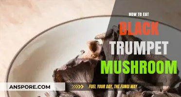 Delicious Black Trumpet Mushrooms: A Guide to Preparing and Enjoying Them