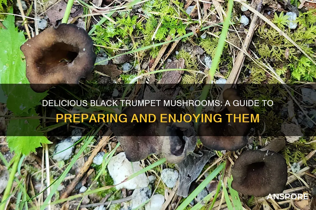 how to eat black trumpet mushrooms