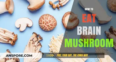 Eating Brain Mushrooms: A Guide to Preparation and Consumption