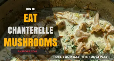 Delicious Chanterelle Mushrooms: A Guide to Preparation and Enjoyment
