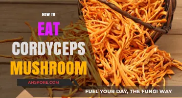 Unlocking Cordyceps Benefits: A Beginner’s Guide to Eating This Superfood