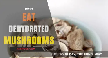 Revive and Savor: Mastering the Art of Eating Dehydrated Mushrooms