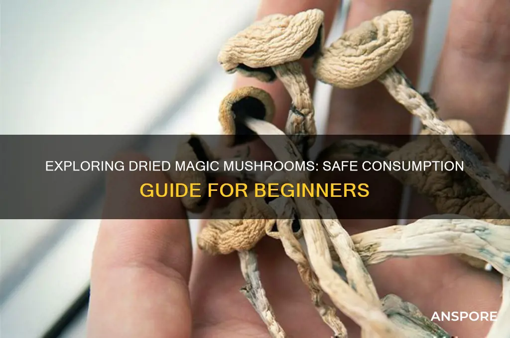 how to eat dried magic mushrooms