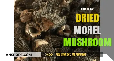 Delicious Dried Morel Mushrooms: A Simple Guide to Enjoying Them