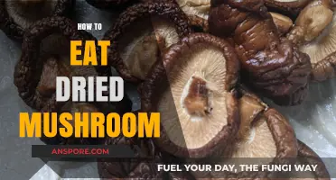 Mastering Dried Mushrooms: Delicious Ways to Rehydrate and Enjoy Them