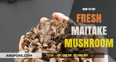 Savoring Maitake: Fresh Preparation Tips for Delicious Mushroom Meals